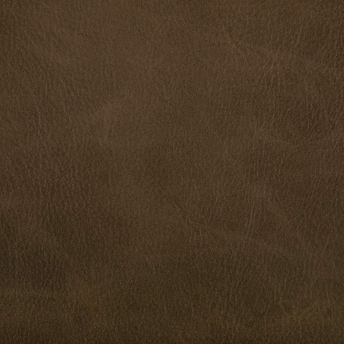 KRAVET CONTRACT TONI ETRUSCAN