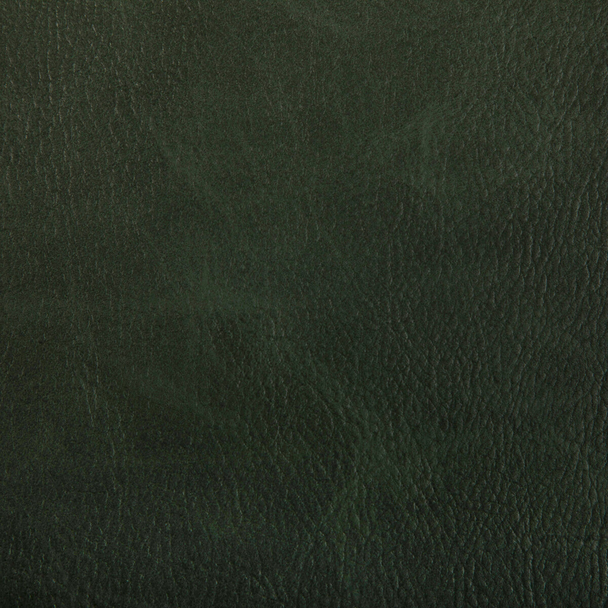 KRAVET CONTRACT TONI WOODLAND