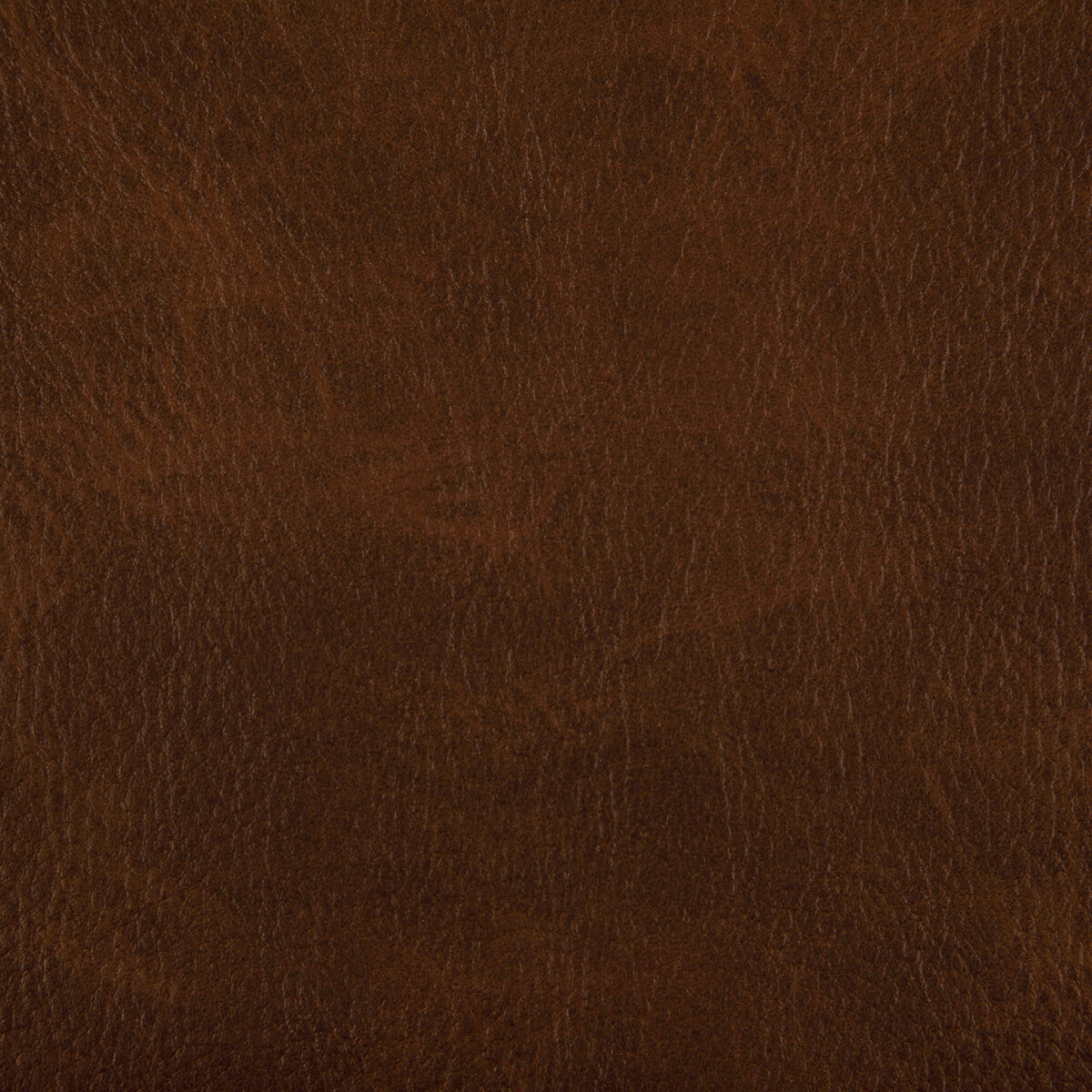 KRAVET CONTRACT TONI WHISKY