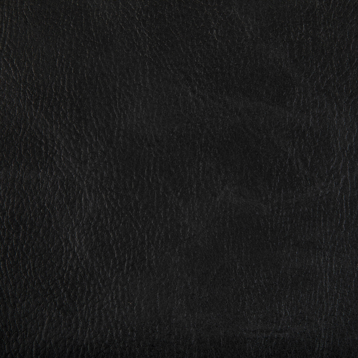 KRAVET CONTRACT TONI STALLION