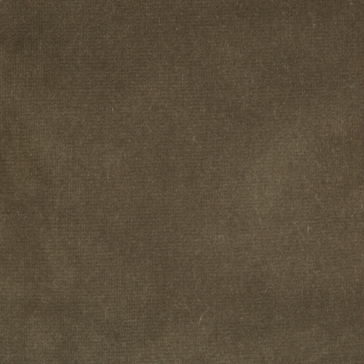 KRAVET DESIGN VERSAILLES E20504