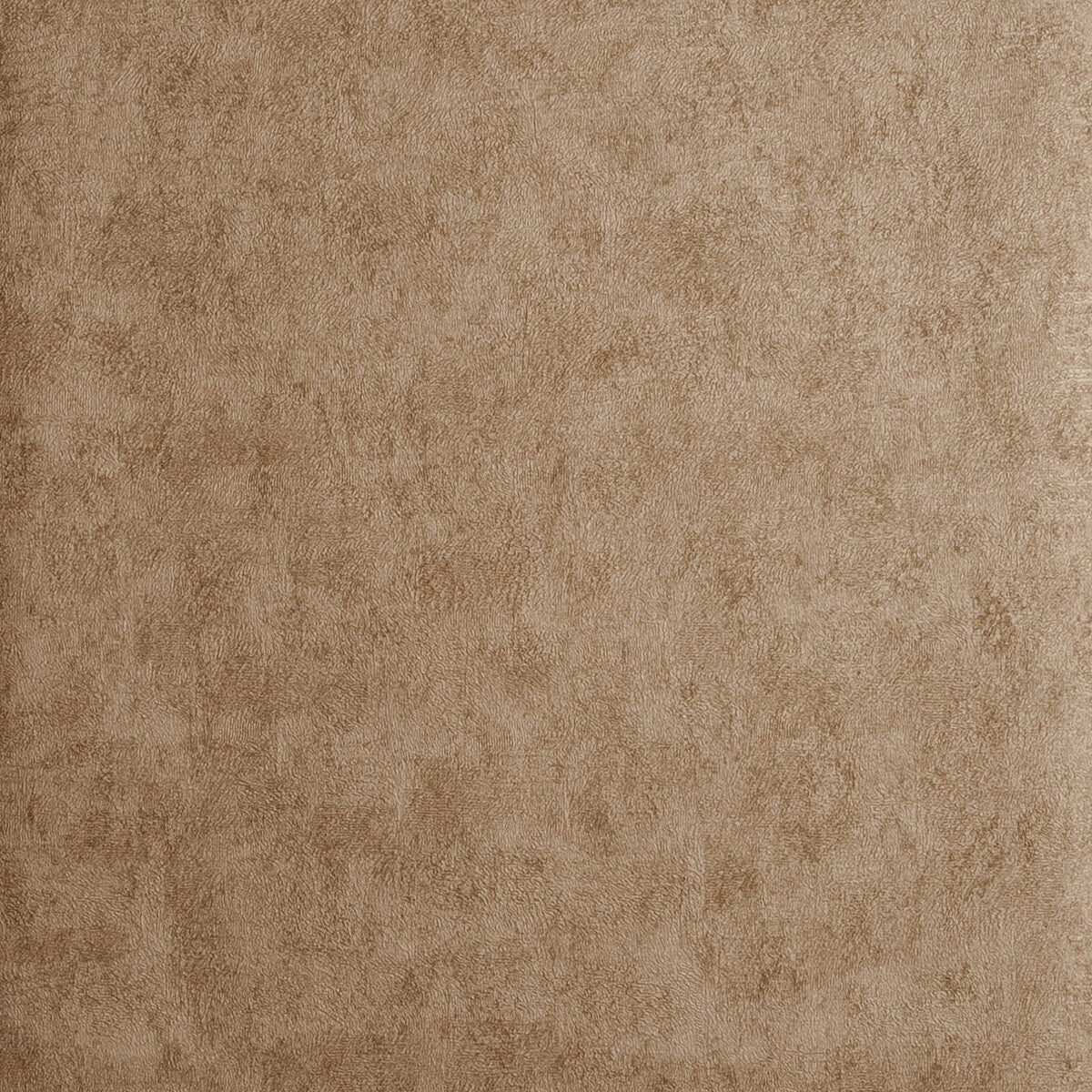 CLARKE AND CLARKE CHINCHILLA COPPER