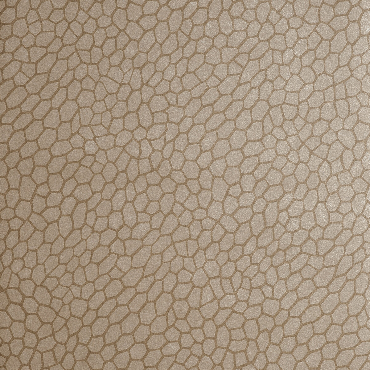 CLARKE AND CLARKE PLAYA ANTIQUE