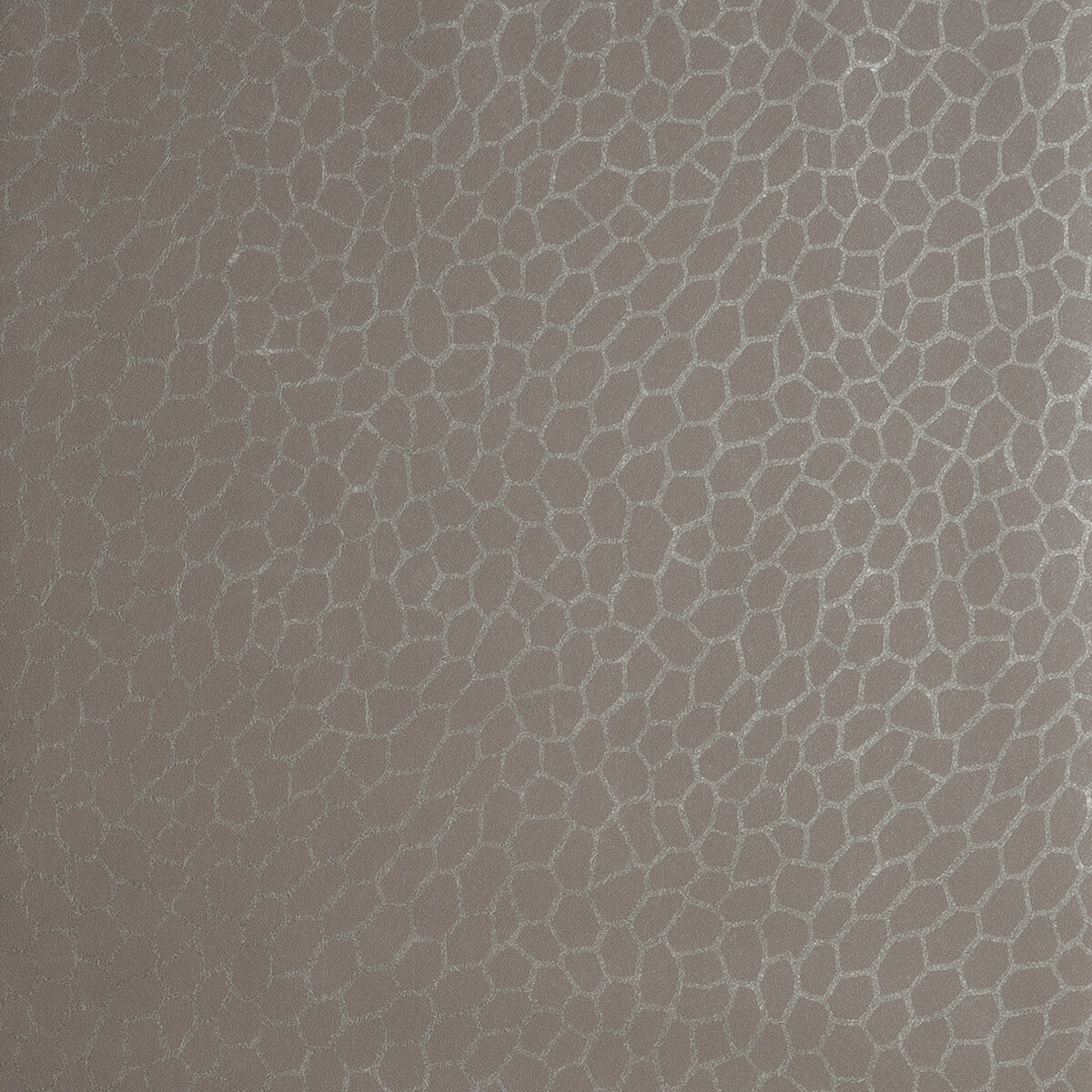 CLARKE AND CLARKE PLAYA ATMOSPHERE