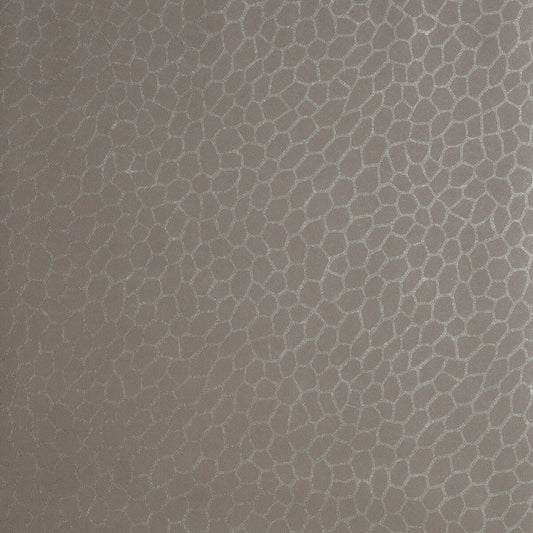 CLARKE AND CLARKE PLAYA ATMOSPHERE