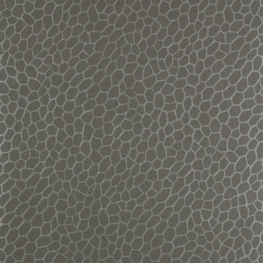 CLARKE AND CLARKE PLAYA GRANITE