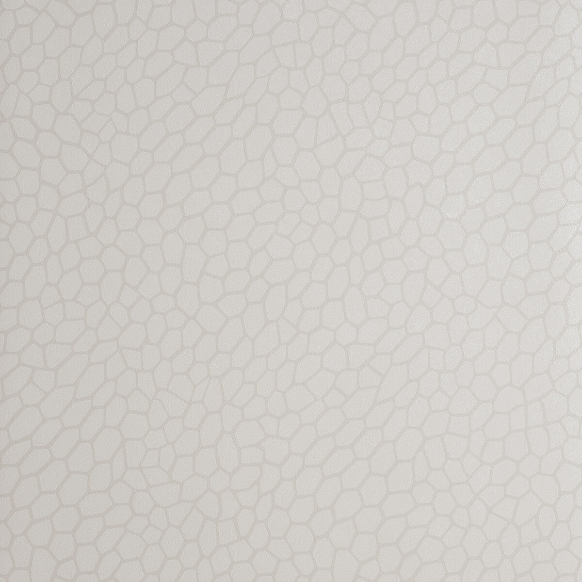 CLARKE AND CLARKE PLAYA PARCHMENT