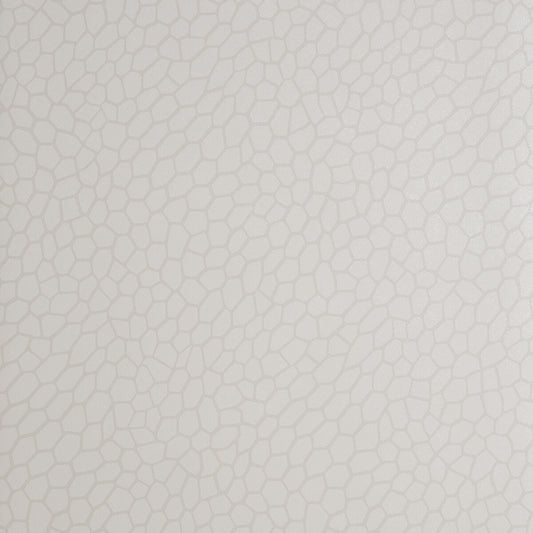 CLARKE AND CLARKE PLAYA PARCHMENT