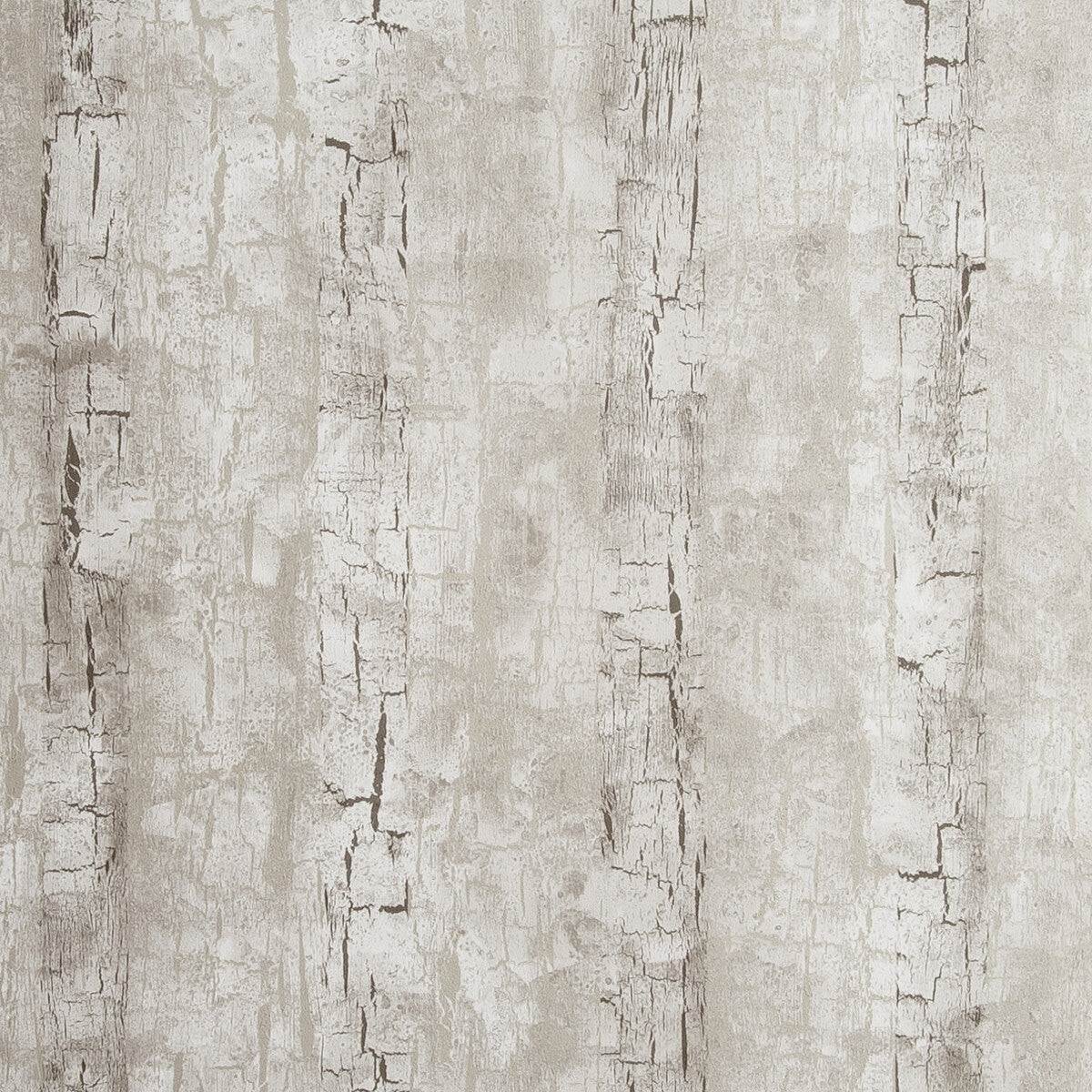 CLARKE AND CLARKE TREE BARK BIRCH