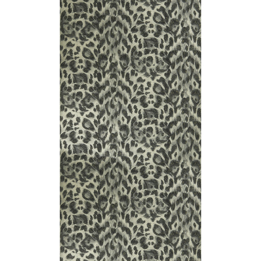 CLARKE AND CLARKE FELIS CHARCOAL/GOLD