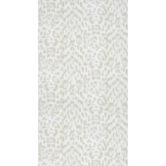 CLARKE AND CLARKE FELIS IVORY