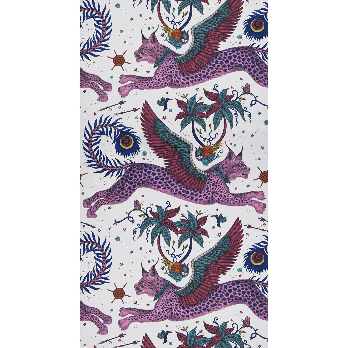 CLARKE AND CLARKE LYNX MAGENTA