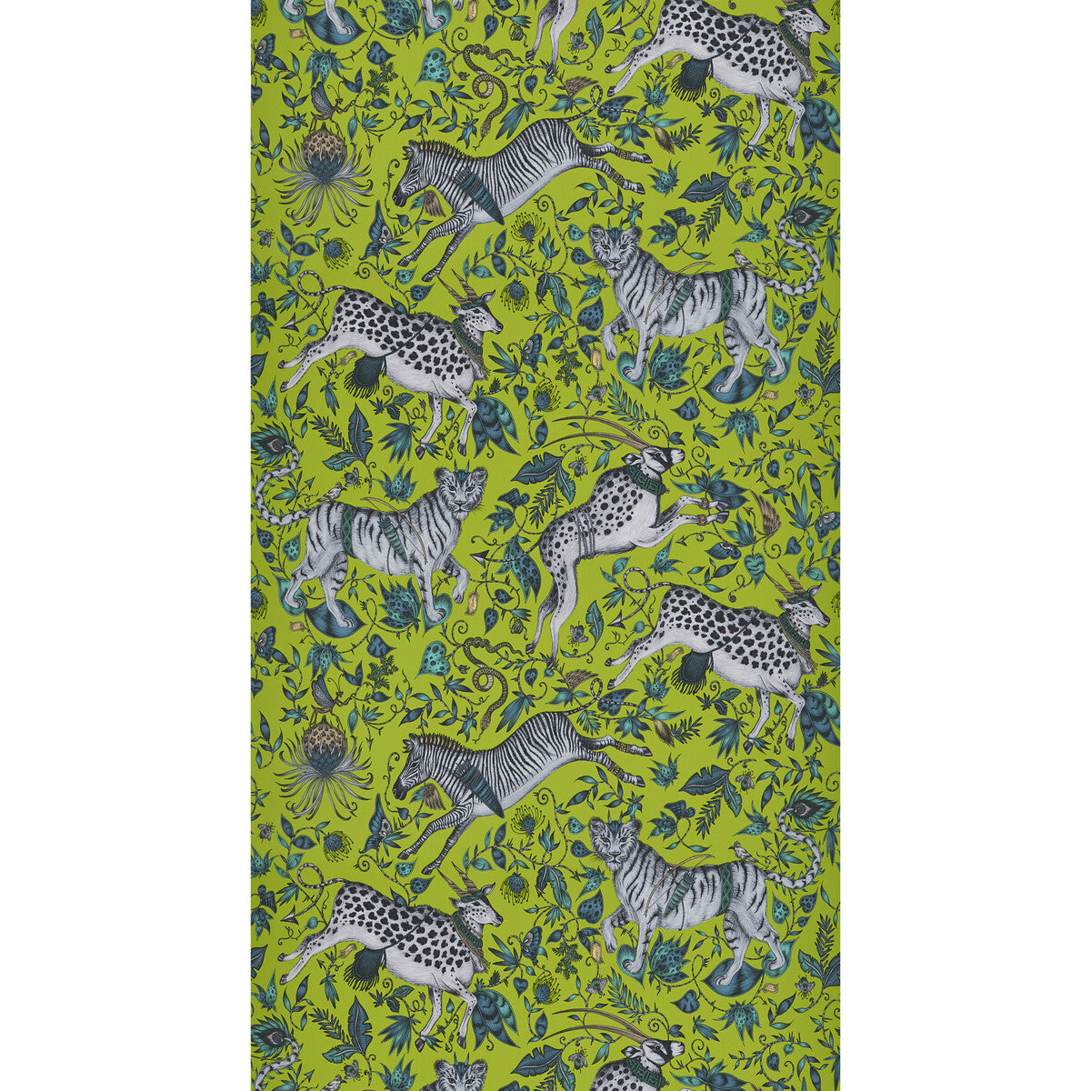 CLARKE AND CLARKE PROTEA LIME