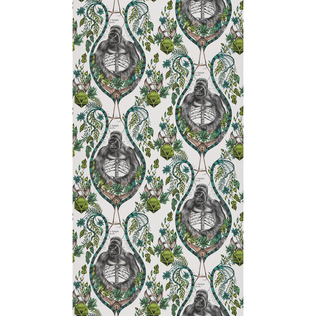 CLARKE AND CLARKE SILVERBACK NUDE