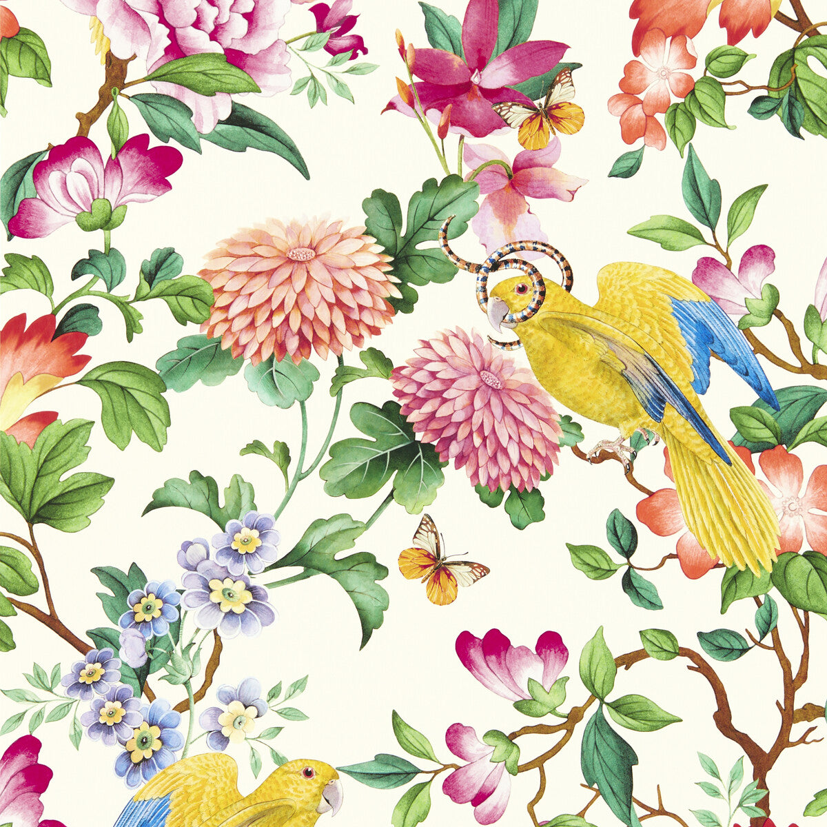 CLARKE AND CLARKE GOLDEN PARROT WP IVORY