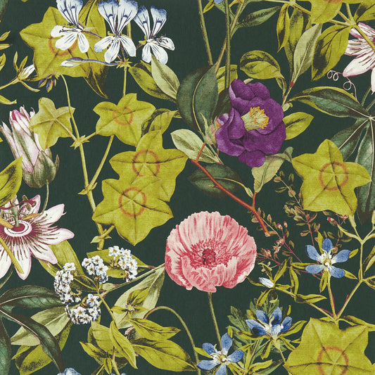 CLARKE AND CLARKE PASSIFLORA EMERALD WP