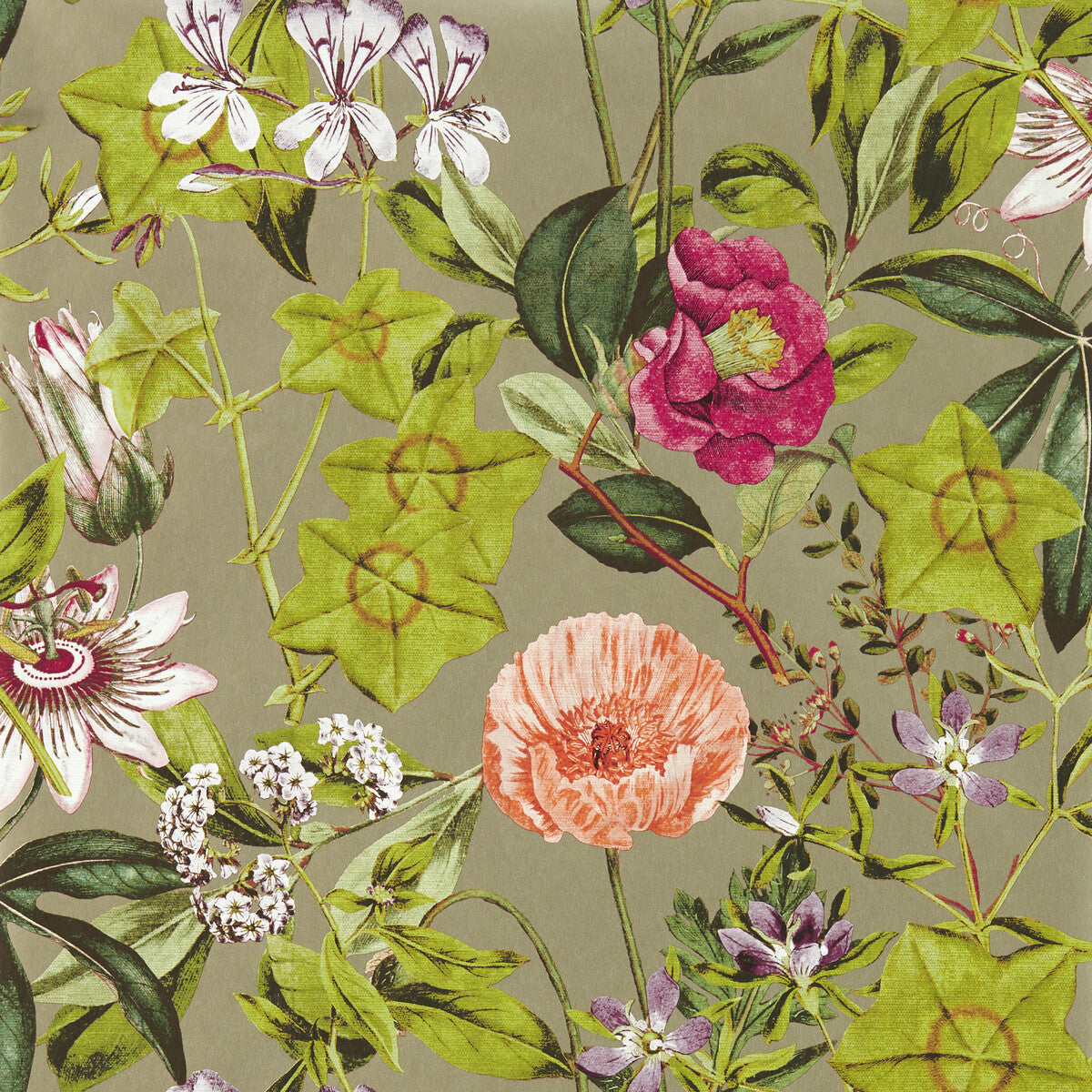 CLARKE AND CLARKE PASSIFLORA MULBERRY/GILVER WP