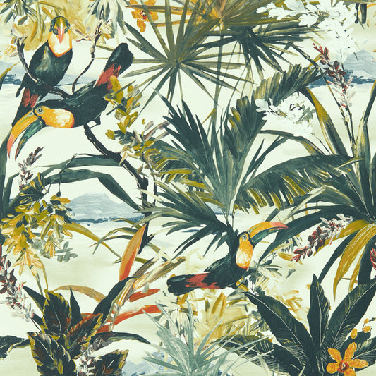 CLARKE AND CLARKE TOUCAN ANTIQUE WP