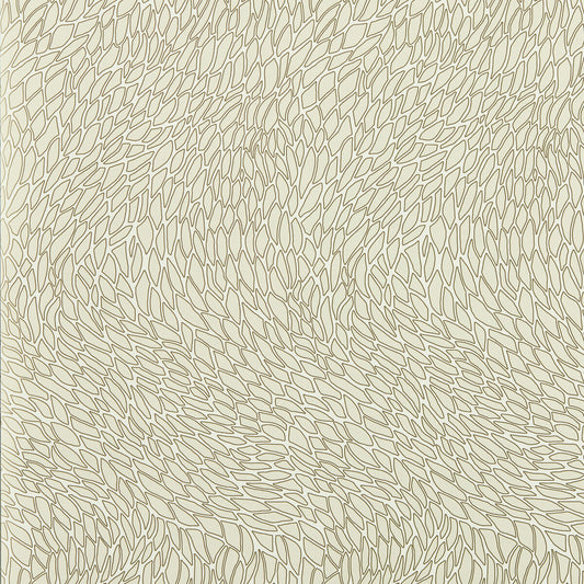 CLARKE AND CLARKE CORALLINO IVORY WP