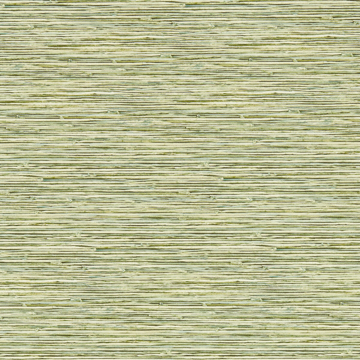 CLARKE AND CLARKE XAN PALM WP