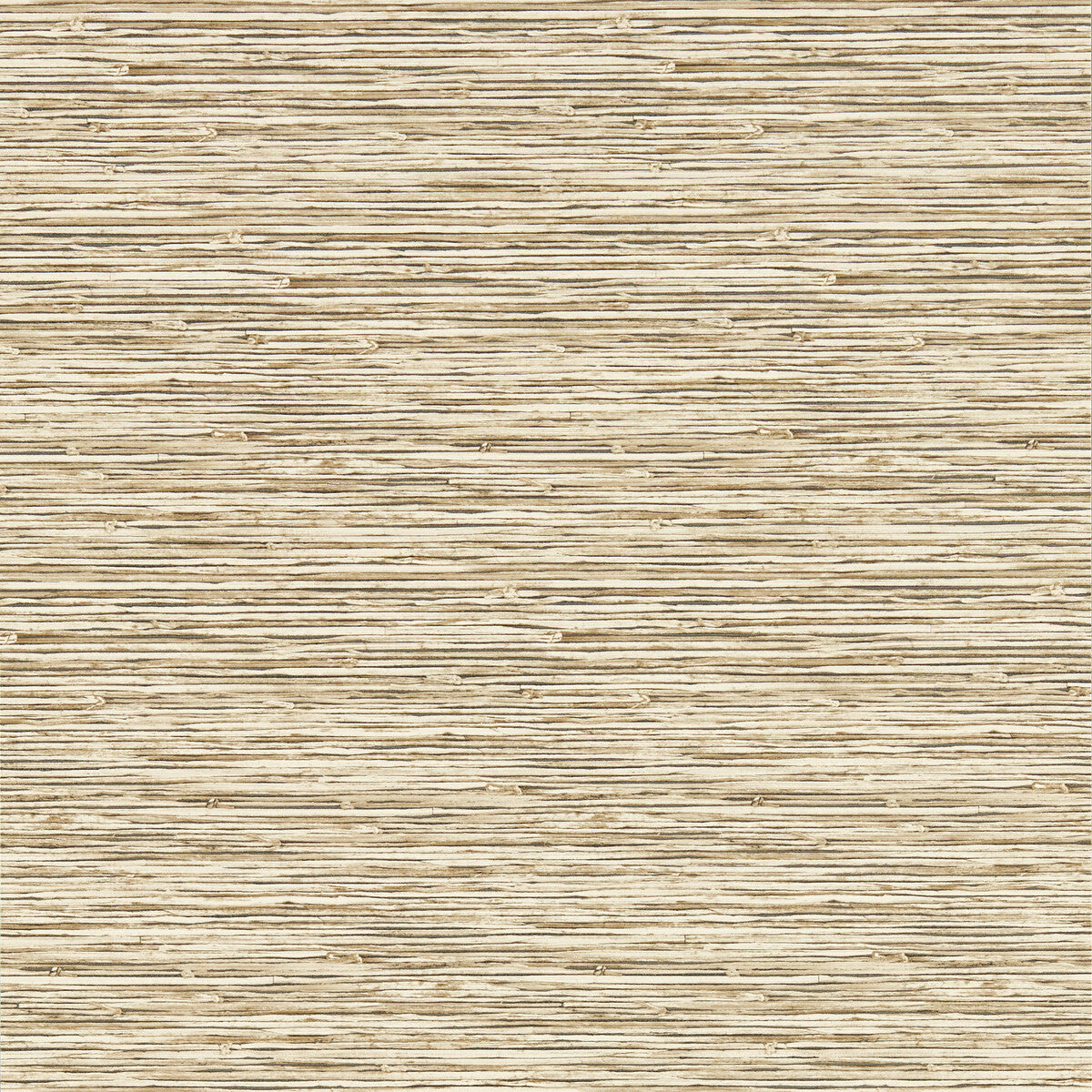 CLARKE AND CLARKE XAN SAHARA WP