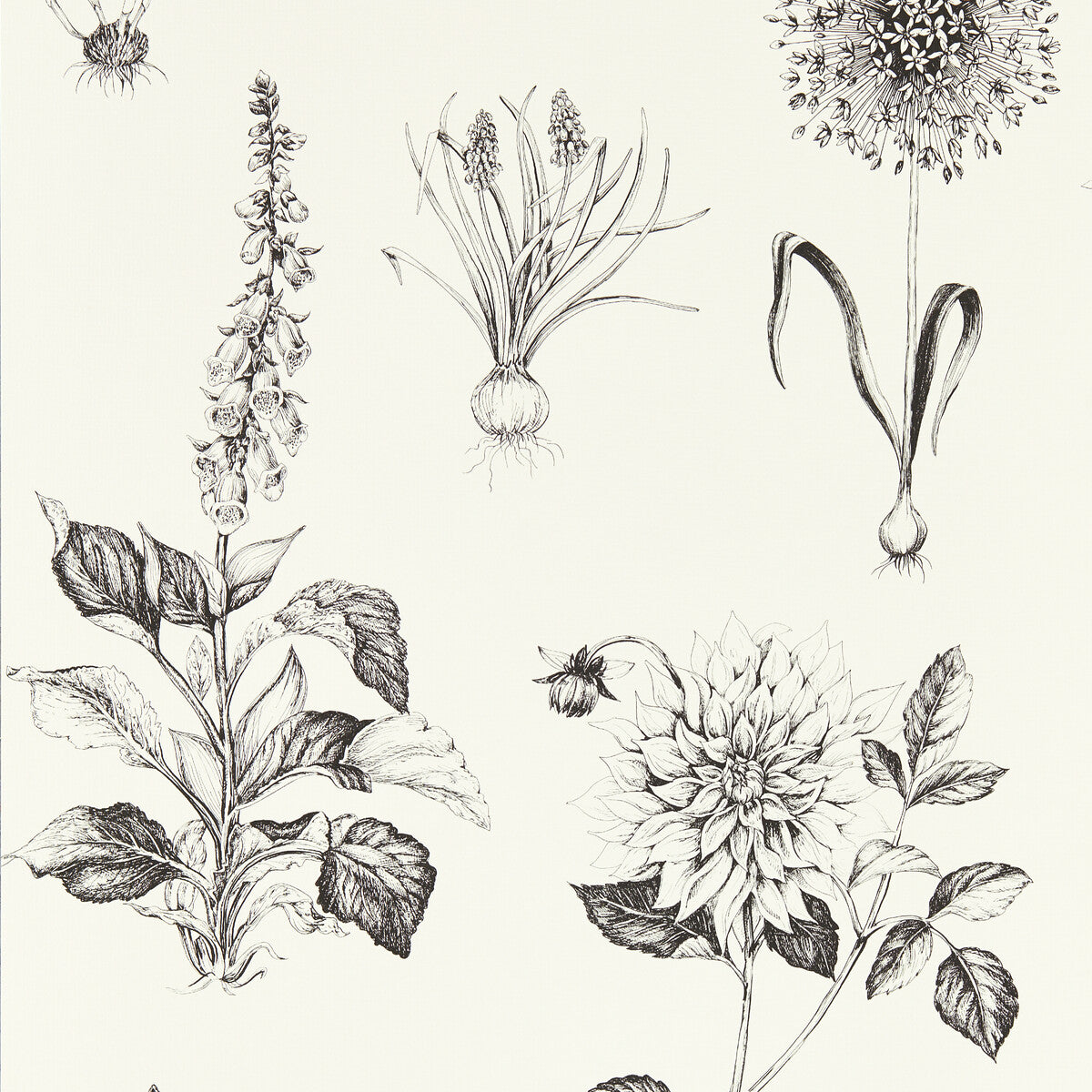 CLARKE AND CLARKE ROSERAIE CHARCOAL WP