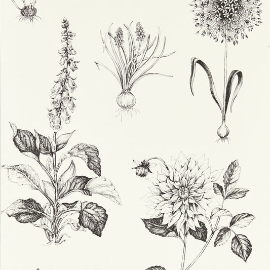 CLARKE AND CLARKE ROSERAIE CHARCOAL WP