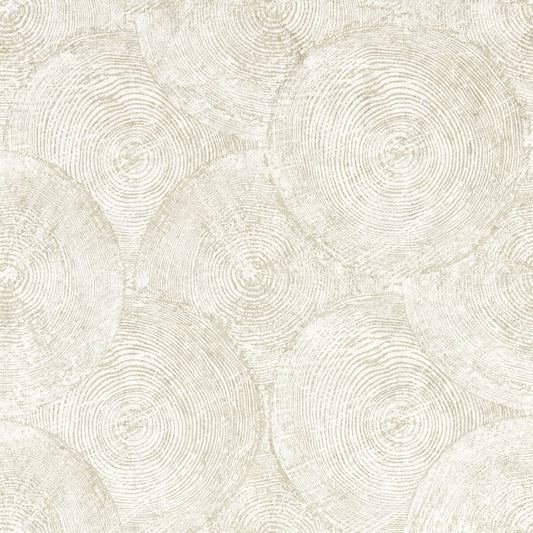 CLARKE AND CLARKE SILVAN GILVER WP