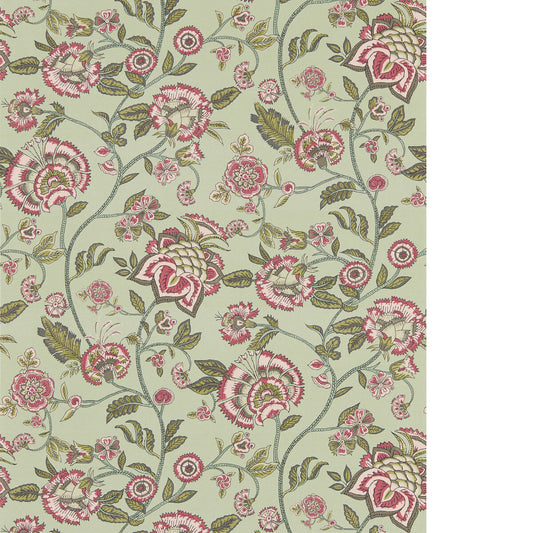 CLARKE AND CLARKE BARMERI SAGE/BLUSH WP
