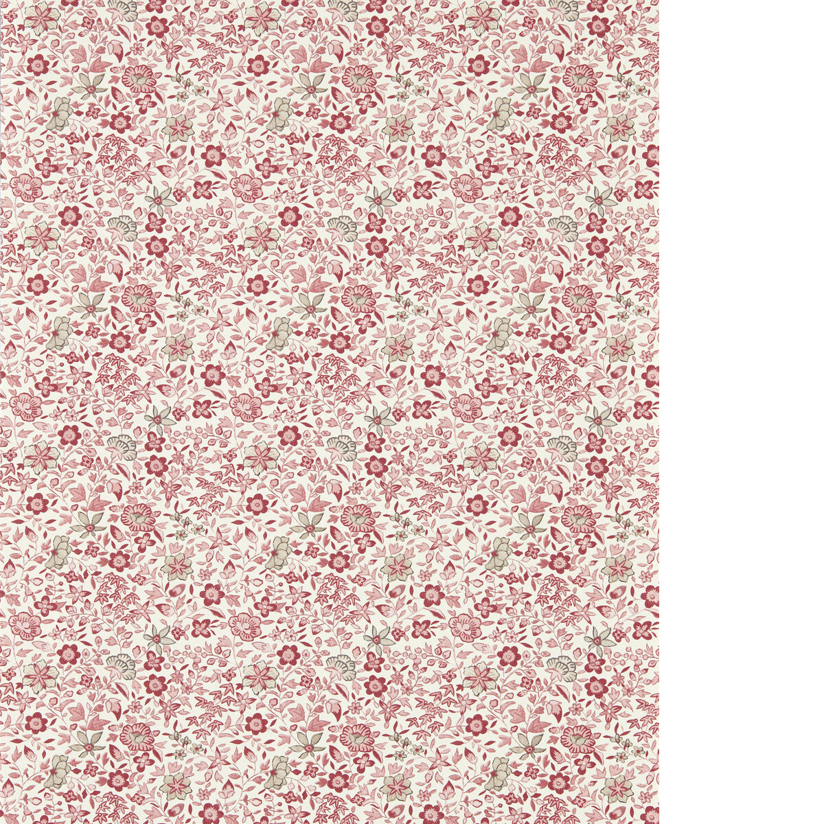 CLARKE AND CLARKE GAMTHI BLUSH WP