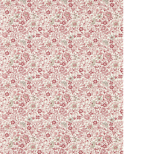 CLARKE AND CLARKE GAMTHI BLUSH WP