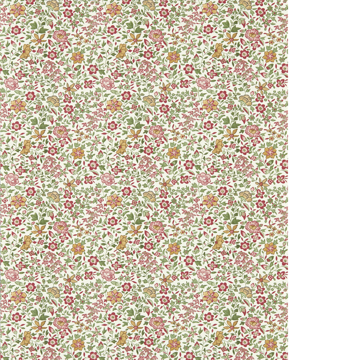 CLARKE AND CLARKE GAMTHI SAGE/BLUSH WP
