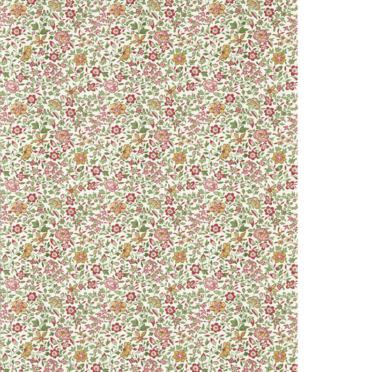 CLARKE AND CLARKE GAMTHI SAGE/BLUSH WP