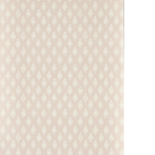 CLARKE AND CLARKE NANDANA BLUSH WP