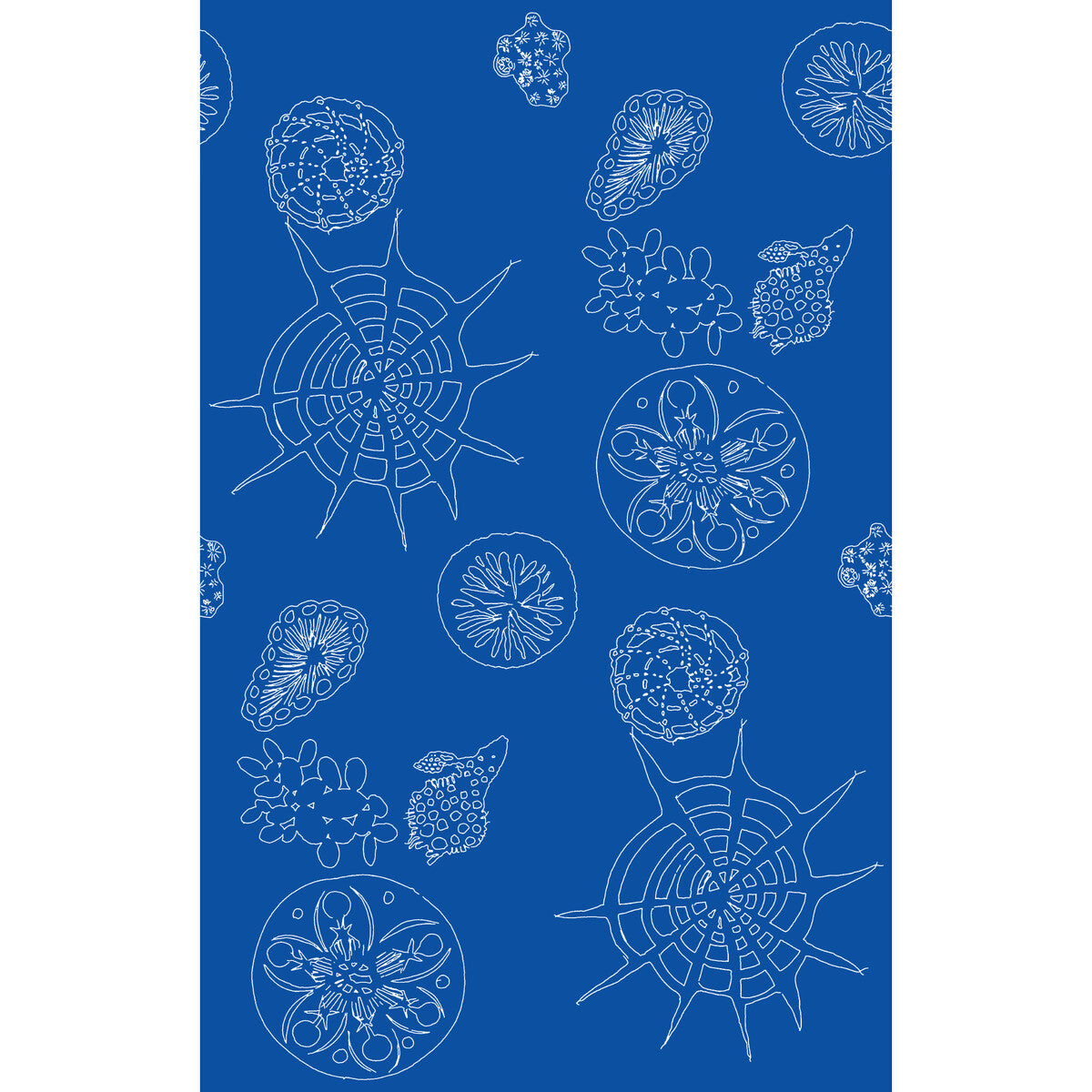 KRAVET COUTURE TELESCOPIC P NAUTICS