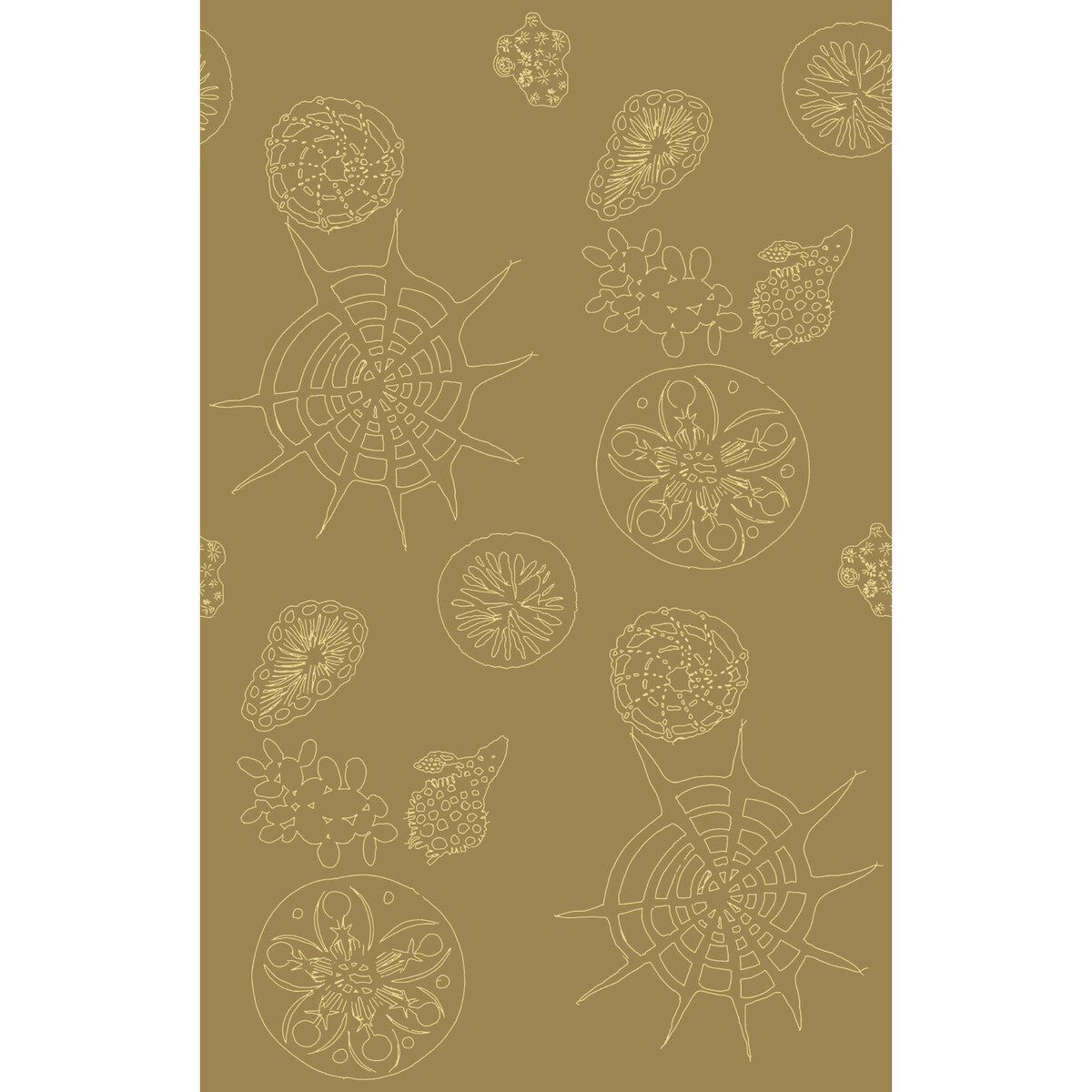 KRAVET COUTURE TELESCOPIC P SANDDOLLAR