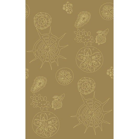 KRAVET COUTURE TELESCOPIC P SANDDOLLAR