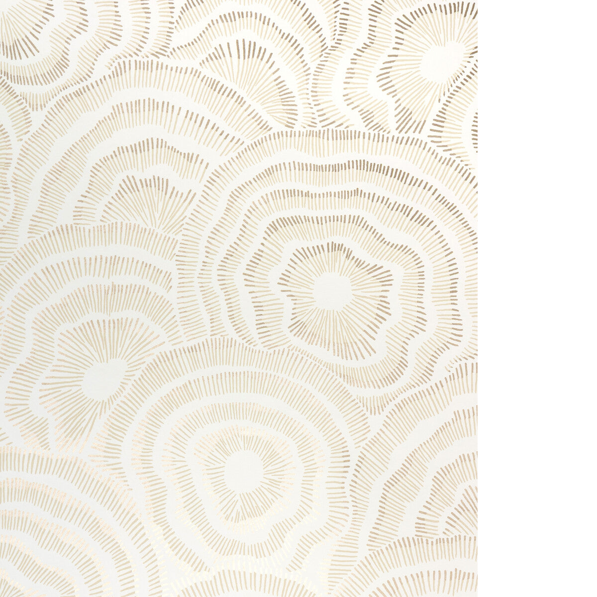 KRAVET COUTURE PANACHE WP CHAMPAGNE
