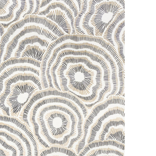 KRAVET COUTURE PANACHE WP ONYX