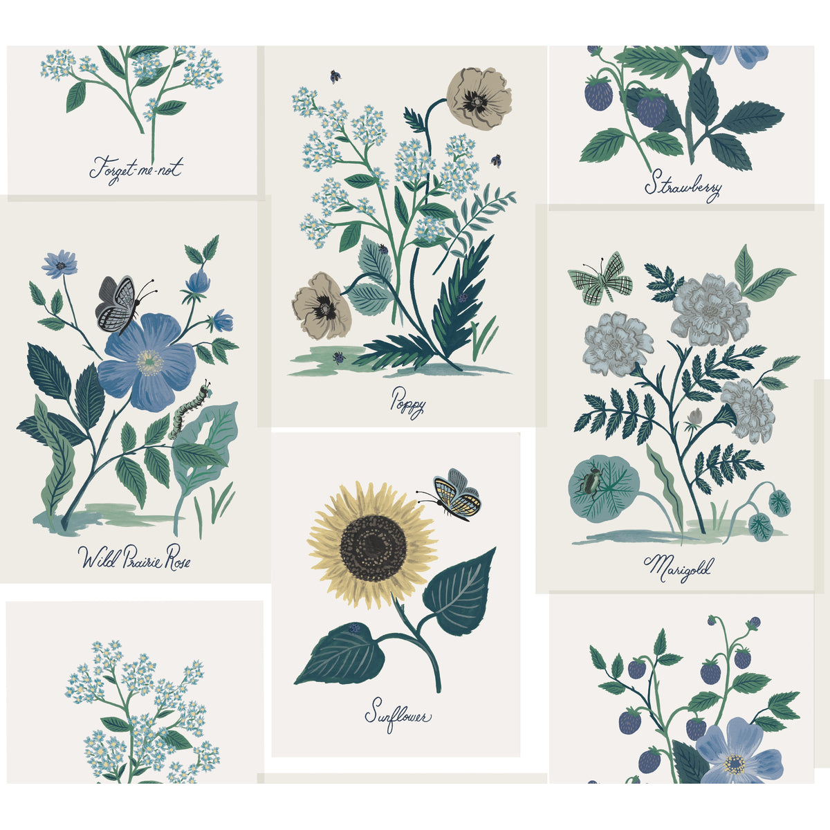 KRAVET DESIGN KRAVET DESIGN W3947-350
