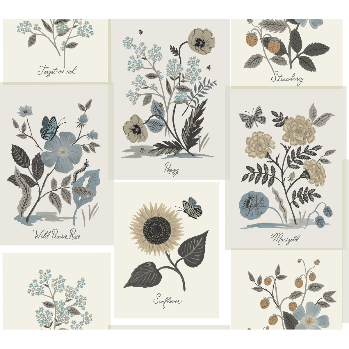 KRAVET DESIGN KRAVET DESIGN W3947-6106