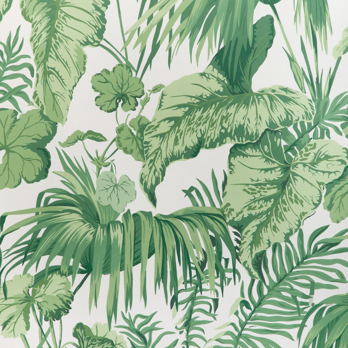 KRAVET COUTURE YASUNI WP VERDE