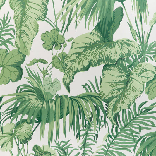 KRAVET COUTURE YASUNI WP VERDE