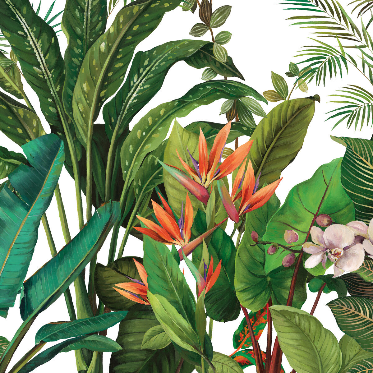 KRAVET DESIGN KRAVET DESIGN W4180-312