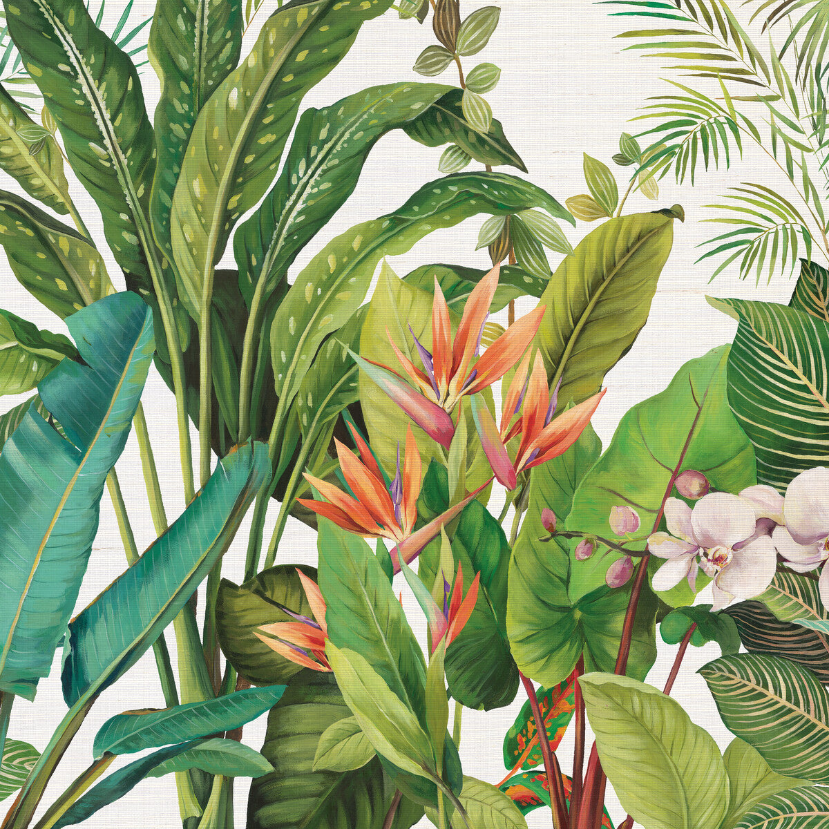 KRAVET DESIGN KRAVET DESIGN W4181-312