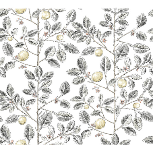 KRAVET DESIGN KRAVET DESIGN W4241-21