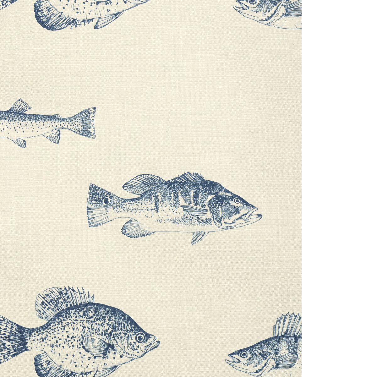 KRAVET DESIGN KRAVET DESIGN W4358-155