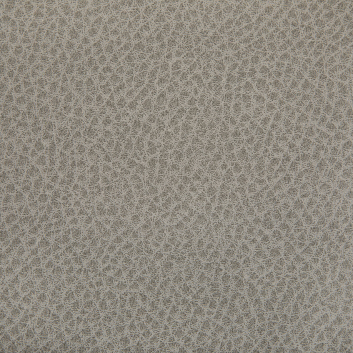KRAVET CONTRACT WOOLF PORCINI