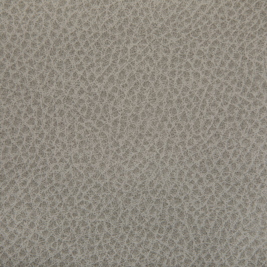 KRAVET CONTRACT WOOLF PORCINI