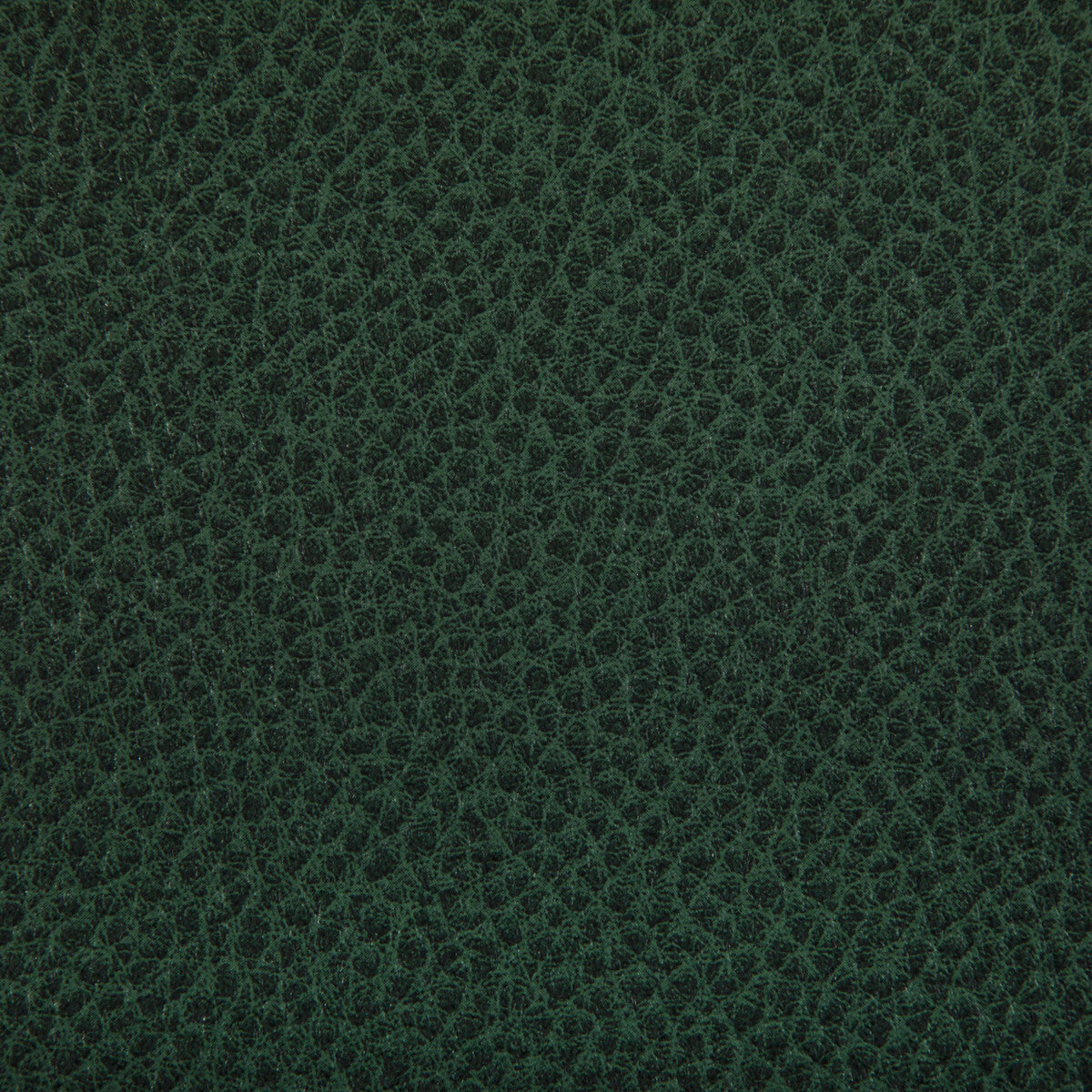 KRAVET CONTRACT WOOLF WOODLAND